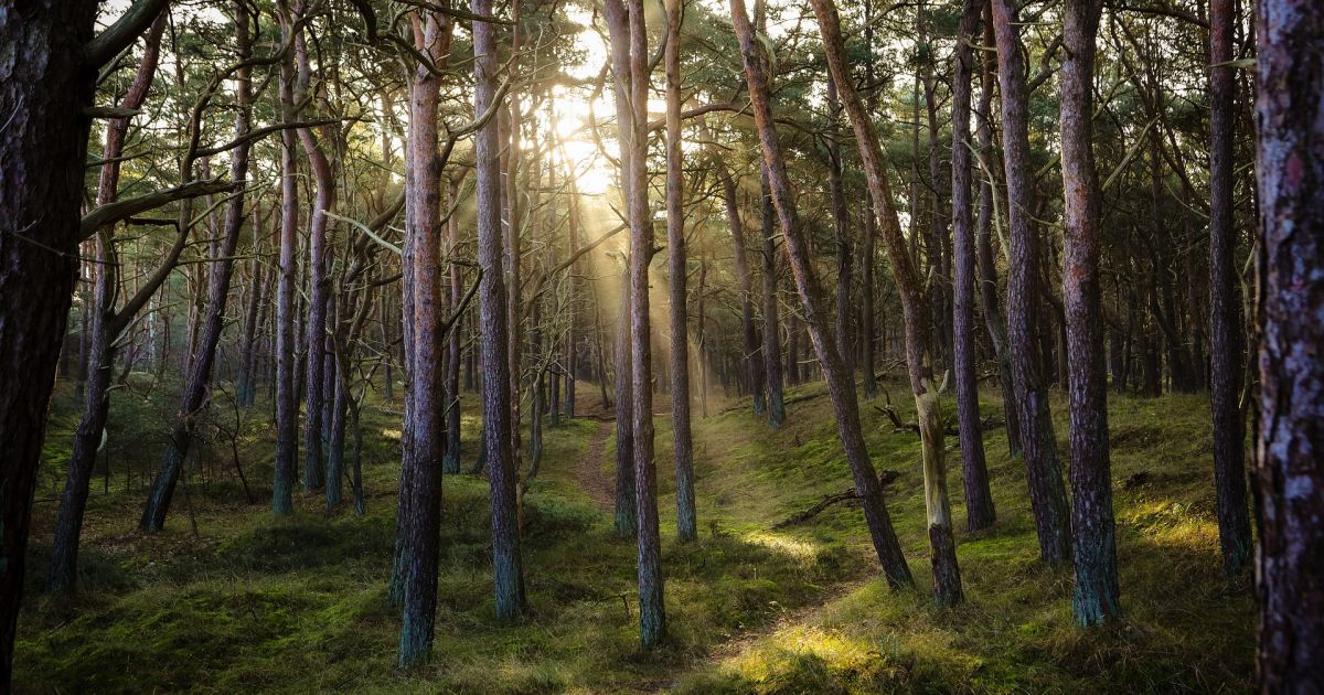 13 lipca imieniny i inne ciekawostki – Respublika.lt