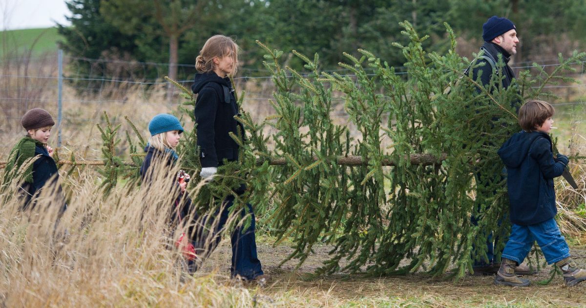 Jak choinka stała się centrum Bożego Narodzenia – Respublika.lt